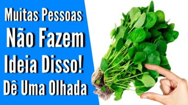 Os 14 VEGETAIS MAIS SAUDÁVEIS que você pode comer! Nunca deixe faltar em casa