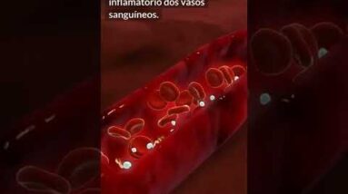 4 ALIMENTOS PARA DAR MAIS SAÚDE AO SEU CORAÇÃO #shorts