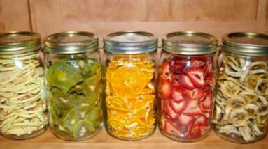 COMO FAZER FRUTAS SECAS EM CASA NO FORNO CONVENCIONAL