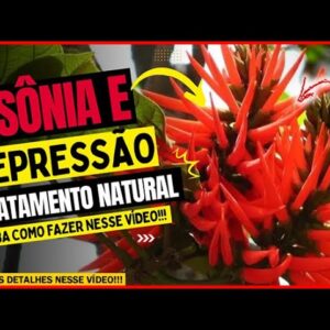 🔴 INSÔNIA E DEPRESSÃO TRATAMENTO NATURAL planta medicinal saiba como fazer