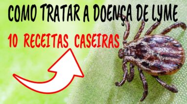 COMO TRATAR A DOENÇA DE LYME COM 10 REMÉDIOS CASEIROS