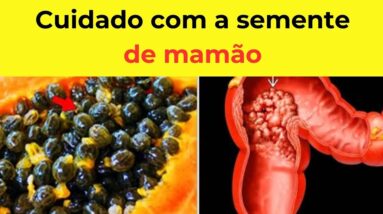 Isso Acontece com o seu CORPO ao Comer SEMENTES DE MAMÃO