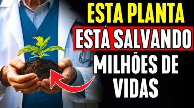 🥬A PLANTA MEDICINAL MAIS PODEROSA QUE VOCÊ DEVE TER NO SEU JARDIM