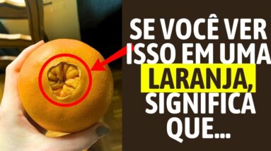 Se você ENCONTRAR ISSO em uma LARANJA, NÃO A COMPRE! Veja por quê...