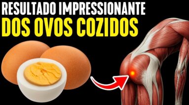 O Que Acontece no seu Corpo se Você Comer 2 Ovos por Dia – Descubra os seus Benefícios