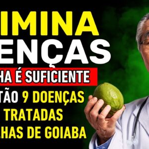 A Folha de Goiaba Cura Essas 9 Doenças || Benefícios da Folha de Goiabeira