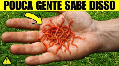 MEU DEUS! Eu Nunca Imaginei Que 1 VERME Pudesse Fazer Tudo Isso Com a Sua Saúde
