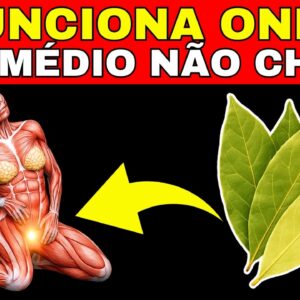 Beba Chá de Folha de Louro Todos os Dias e Você Vai se Surpreender com o Que Acontece