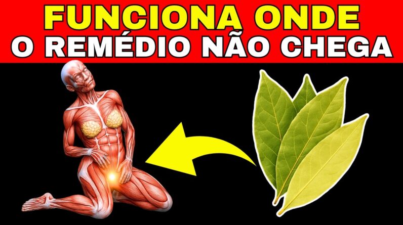 Beba Chá de Folha de Louro Todos os Dias e Você Vai se Surpreender com o Que Acontece